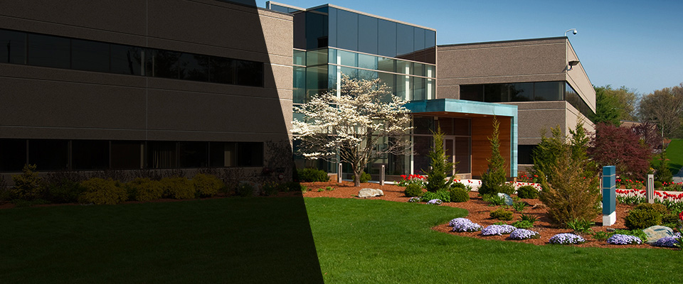 Kailua Kona Landscapers