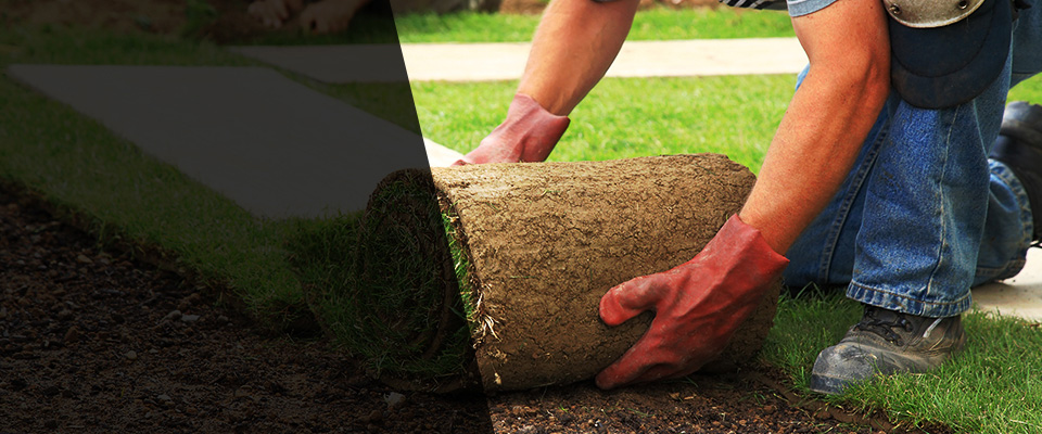 Kailua Kona Landscapers